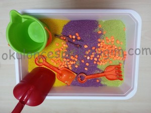 Montessori renkli taşlar